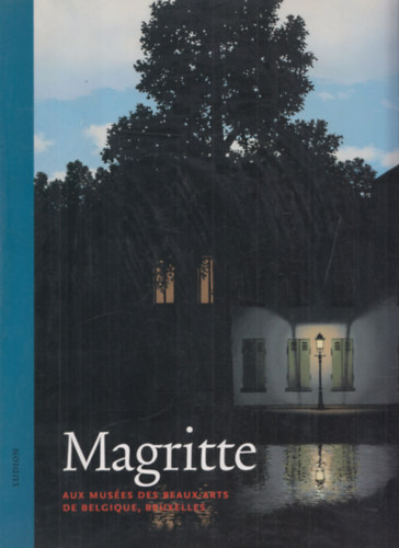Gisle Ollinger-Zinque - Magritte (Aux Muses des Beaux-Arts de Belgique, Bruxelles)