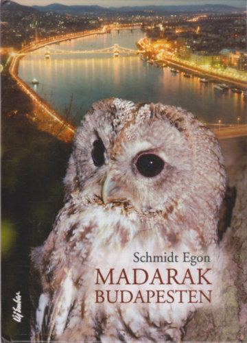 Madarak Budapesten