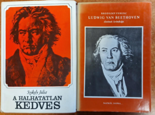 2db Zenei letrajz:A halhatatlan kedves+Ludwig Van Beethoven
