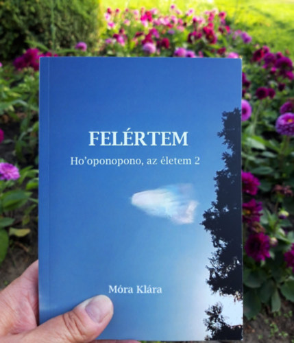 FELRTEM. Ho'oponopono, az letem 2