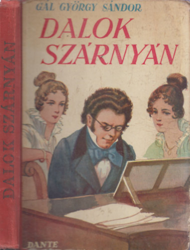 Dalok szrnyn (Schubert Ferenc letnek regnye) (Bicz Andrs rajzaival)