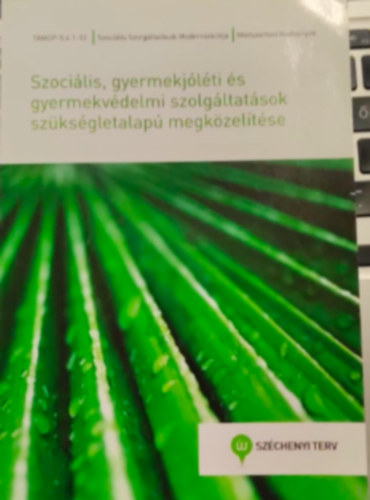 Szoci�lis, gyermekj�l�ti �s gyermekv�delmi szolg�ltat�sok sz�ks�gletalap� megk�zel�t�se