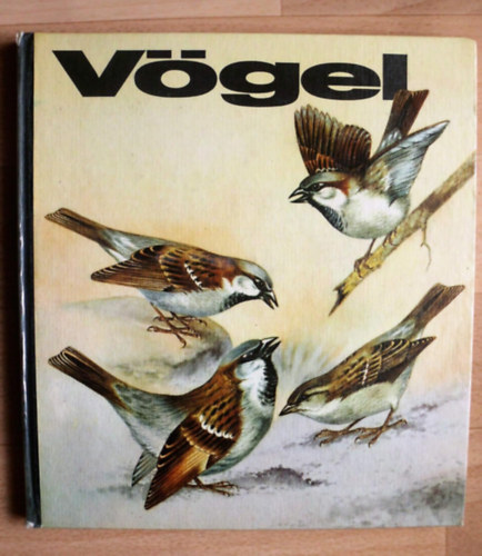 Vgel