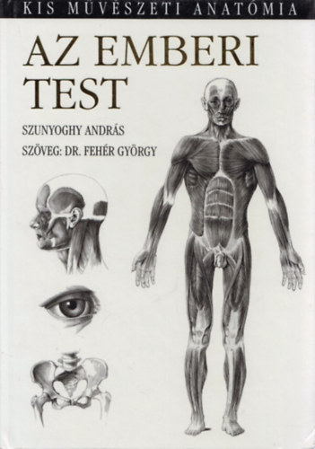 Az emberi test - Kis mvszeti anatmia