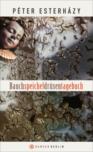 Bauchspeicheldrsentagebuch