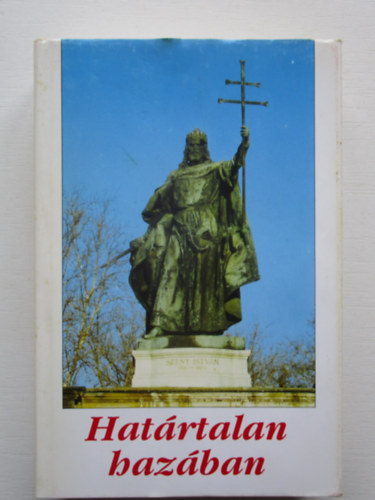 Dvid Gyula- Veress Zoltn  (szerk) - Hatrtalan hazban (Ezredforduls tprengsek)