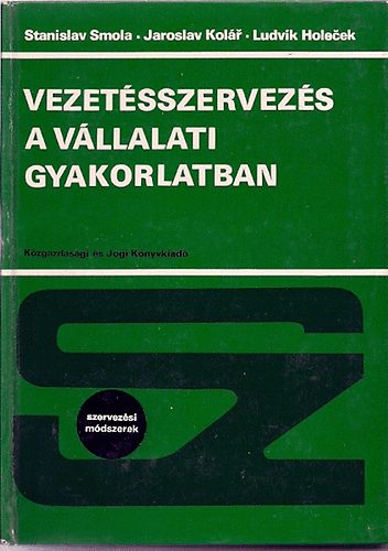 Vezetsszervezs a vllalati gyakorlatban