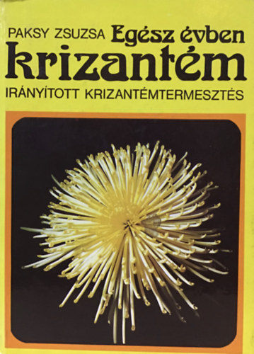 Eg�sz �vben krizant�m (Ir�ny�tott krizant�mtermeszt�s)