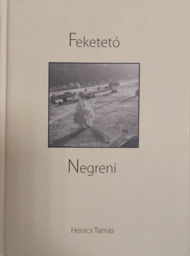 Feketet - Negreni - Vsr a Krs partjn / Fair by the Krs Riveer / Trgul de pe malul Crisului Repede