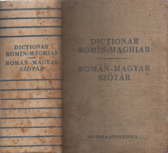 Dictionar Romn-Maghiar / Romn-Magyar sztr