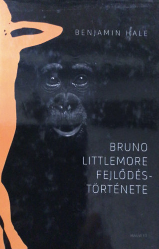 Bruno Littlemore fejldstrtnete