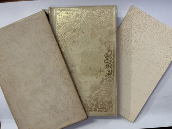 Dveře jazyků otevřené Janua linguarum reserata