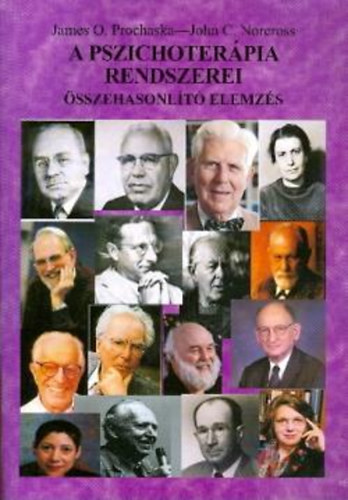 A pszichoterpia rendszerei - sszehasonlt elemzs