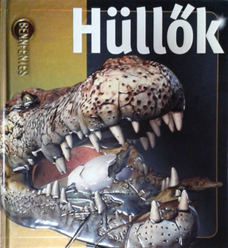 Mark Hutchinson - Hllk