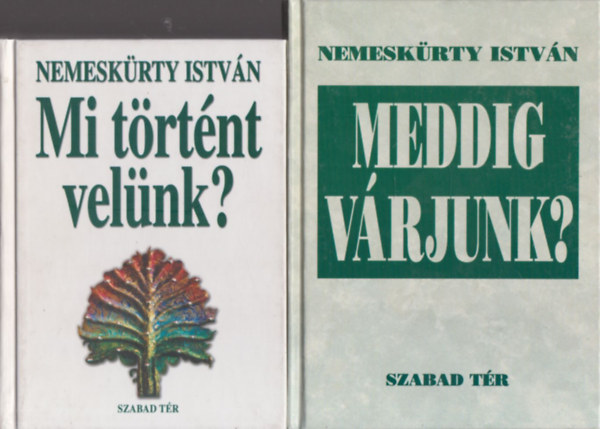 Mi t�rt�nt vel�nk? + Meddig v�rjunk? (2 m�)