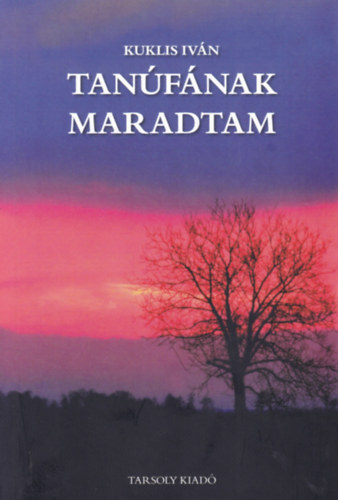 Tanfnak maradtam