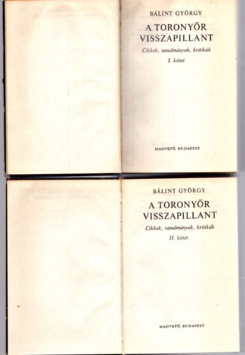 A toronyr visszapillant I-II.