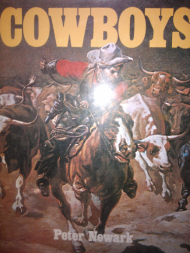 Cowboys (Bison Books Limited)