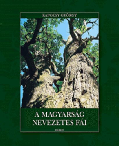 A magyarsg nevezetes fi