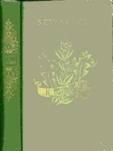 Sevcsenko - Kobzos