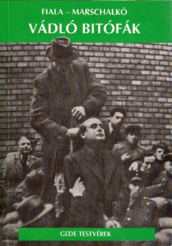 Vdl bitfk (A magyar nemzet igazi srsi)