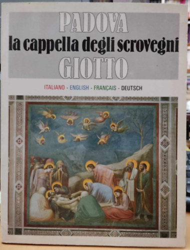 Padova Giotto: la cappella degli scrovegni