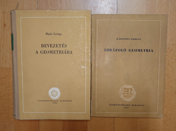 2 geometri�val fodlalkoz� alapm�: Bevezet�s a geometri�ba, �br�zol� geometria