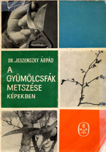 A gymlcsfk metszse kpekben