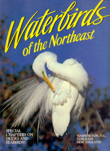 Waterbirds of the Northeast: Washington, DC Through New England