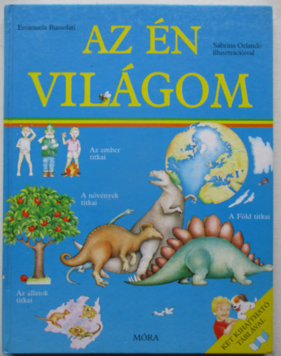Az n vilgom