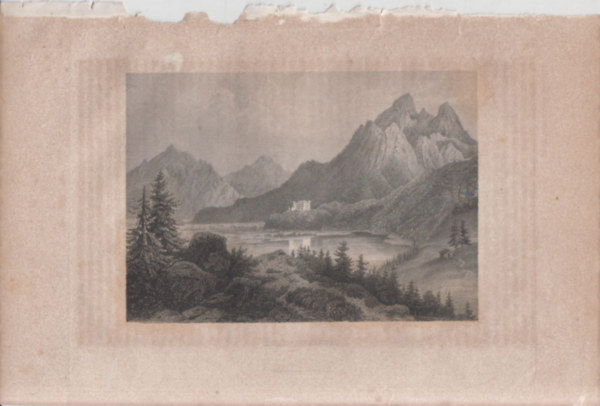 Hohenschwangau kastly, Nmetorszg, Eurpa (2818cm lapmret eredeti aclmetszet) (1860 krl)