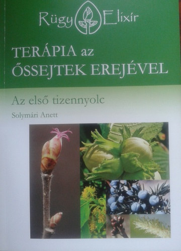 Ter�pia az �ssejtek erej�vel