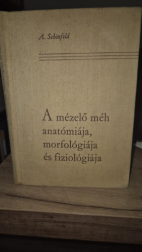 A mzel mh anatmija, morfolgija s fiziolgija