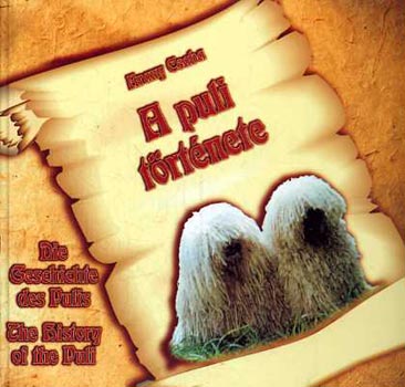 Arany Csaba - A puli trtnete