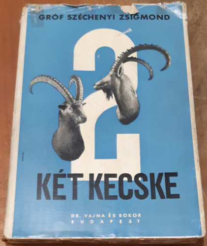 Kt kecske