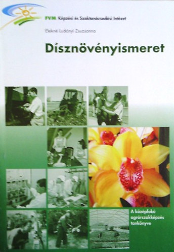 Dsznvnyismeret