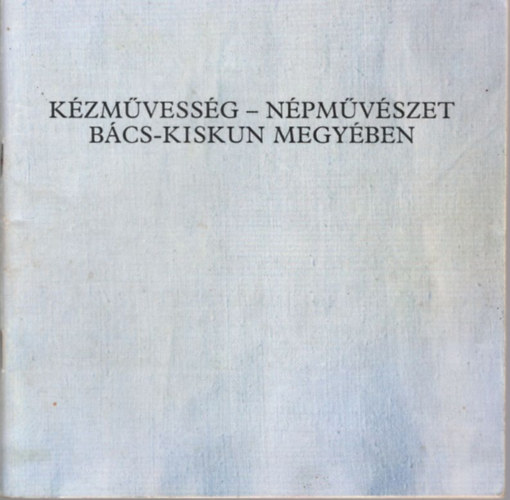 Kzmvessg - npmvszet Bcs-Kiskun megyben
