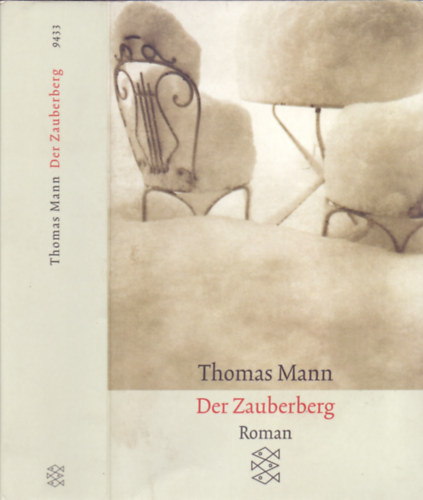 Thomas Mann - Der Zauberberg