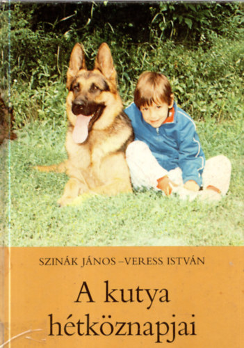 A kutya htkznapjai
