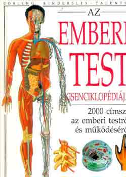 Az emberi test kisenciklop�di�ja