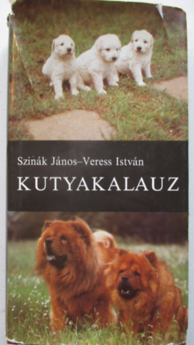 Kutyakalauz