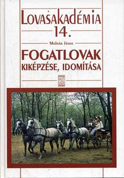 Fogatlovak kikpzse, idomtsa