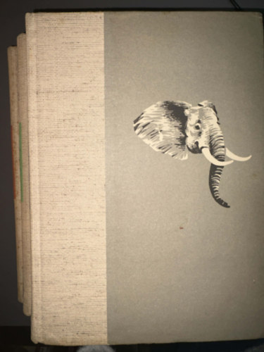 4db Sz�chenyi Zsigmond k�tet: Ahogy elkezd�d�tt... , Afrikai t�bort�zek , Denatur�lt Afrika