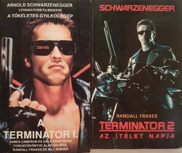 A termintor 1. + Termintor 2.: Az tlet napja