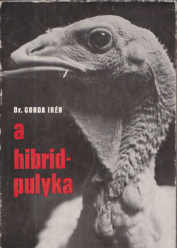 A hibridpulyka