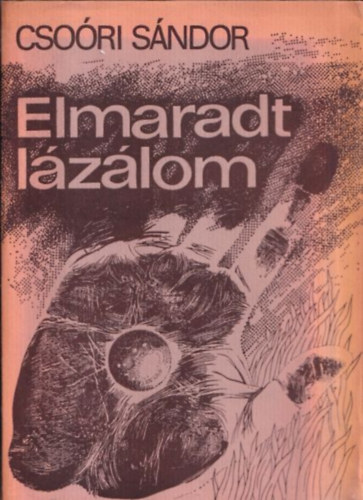 Csori Sndor - Elmaradt lzlom (Bertha Bulcsunak dediklt pldny)