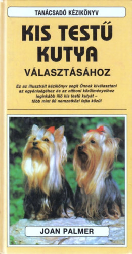 Tancsad kziknyv kistest kutya vlasztshoz
