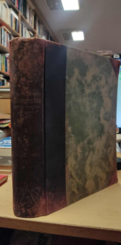 Magyar Kirlyi llami Nyomda - Az Osztrk-Magyar Monarchia rsban s kpben: Magyarorszg I. ktete