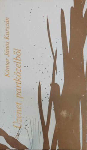 K�ntor J�nos Kursz�n - �zenet partk�zelb�l