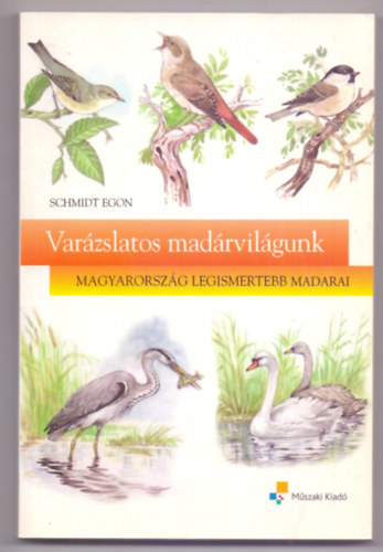 Varzslatos madrvilgunk (Magyarorszg legismertebb madarai - Budai Tibor rajzaival)
